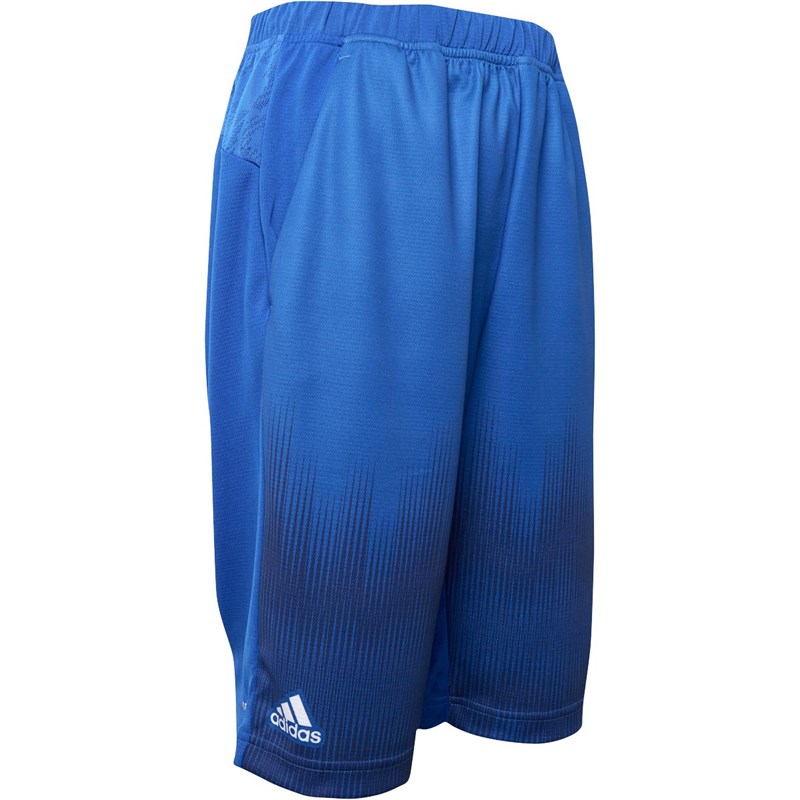 Buy adidas Junior Boys The Game Training Shorts Blue