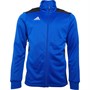 adidas Herren Regista 18 Poly Training Top Blau