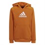 adidas Junior Badge Of Sport Hoodie Focus Orange/White