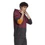 adidas Heren Future Icons Colorblock Hoodies Multi