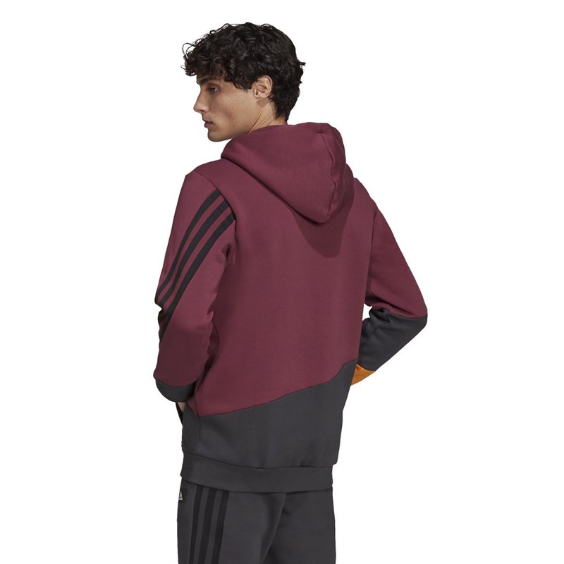 adidas Heren Future Icons Colorblock Hoodies Multi