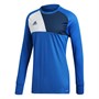 adidas Herren Assita 17 Goalkeeper Fußball Trikots Blau