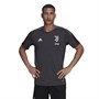 adidas Herre JFC Juventus Fodboldtrøjer Grå