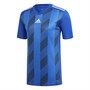 adidas Jungen Striped 19 Fußball Trikots Blau