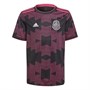 adidas Kids Fmf Mexico Home Voetbalshirts Multi