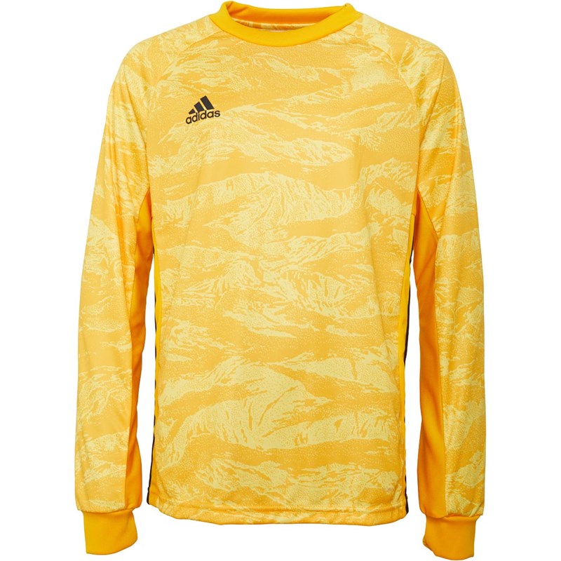 adidas adipro 18 goalkeeper kit