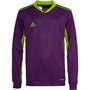 adidas Junior Adipro 20 Goalkeeper Jersey Glory Purple/Team Semi Solar Green