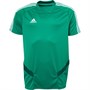 adidas Herren Tiro 19 Fußball Trikot Grün