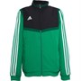 adidas Junior Tiro 19 Presentation Track Top Bold Green/White