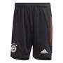adidas Herren FCB Bayern Munich Fußball Shorts Schwarz
