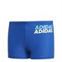 adidas Junior Lineage Swimming Briefs Royal Blue/Hi-Res Yellow