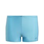adidas Junior Fit 3-Stripes Swimming Briefs Signal Cyan/Royal Blue