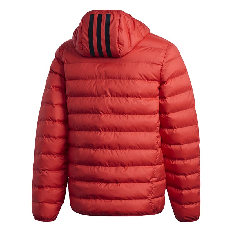 adidas Herrer Dunjakke Rød