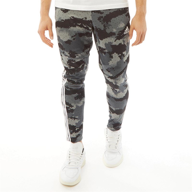 Bläst sich auf Länglich Franse adidas jogginghose herrren camo Joseph ...