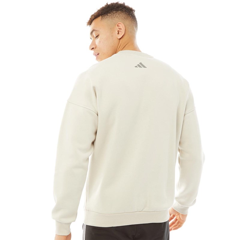 adidas Męskie Mountain Graphic Bluzy Sportowe Ecru