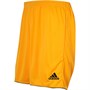 adidas Heren Parma II Sportperformance shorts Geel