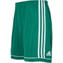adidas Shorts de Sport Performants Squadra 17 Homme Vert