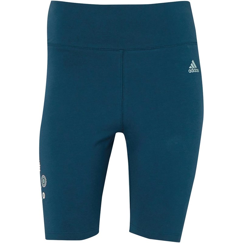 Adidas Damen Terra Love Performance Sporthosen Blau