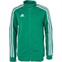 adidas Junior Tiro 19 Training Track Top Bold Green/Core Green/White