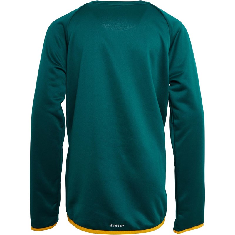 adidas Junior Boys Designed To Move Big Logo Sweatshirt Collegiate Green/Semi Solar Gold