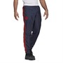 adidas Pantalons de Sport Performants FCB FC Bayern Munich Icons Woven Bottoms Homme Bleu