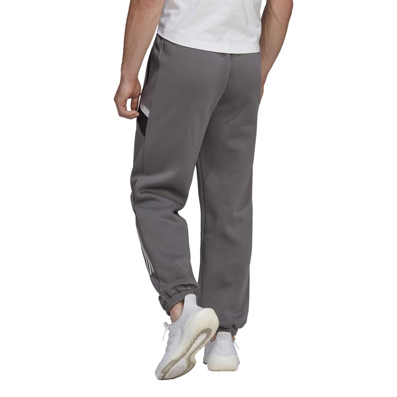 adidas Herren Sportswear Jogginghosen Grau