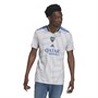 adidas Herren CABJ Boca Away Fußball Trikots Grau