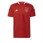 adidas Herren AFC Ajax Amsterdam Tiro Fußball Trikots Rot