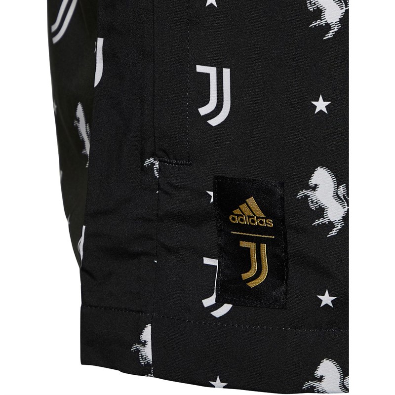 adidas Herren JFC Juventus Windbreaker Leistung/Technik Mehrfarbig