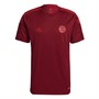 adidas Mens FCB FC Bayern Munich Tiro Training Jersey Craft Red