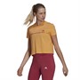 adidas Hauts Essentials Gradient Femme Orange