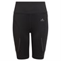 adidas Junior Boys Aeroready Hiit Short Tights Black