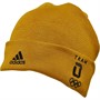 adidas Mens Terrex Beanie Victory Gold