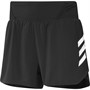 adidas Womens Terrex Parley Agravic All Around Shorts Black/White