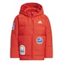 adidas Boys Graphic Hooded Down Jacket Vivid Red