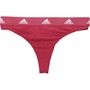 adidas Womens Sport Cotton Logo Thong Bordeaux