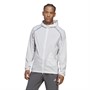adidas Performance/Technique Marathon Homme Gris