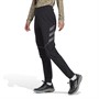 adidas Dame Terrex Agravic Hybrid Trail Sport træningsbukser Sort