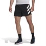 adidas Mens Terrex Agravic Trail Running Shorts Black