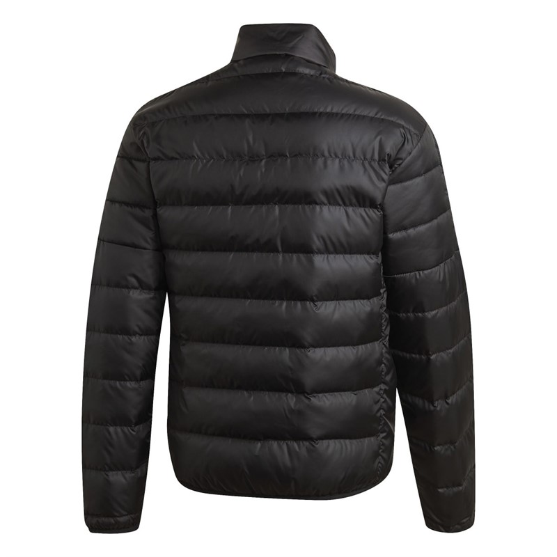Buy adidas Mens Essentials Down Padded Jacket Black