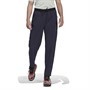 adidas Womens Terrex Liteflex Hiking Track Pants Legand Ink
