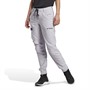 adidas Dame Terrex Made To Be Remade Vandretøj Bukser Sølv Daggry