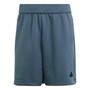 adidas Herre Z.N.E. Premium Shorts Legend Ivy