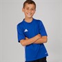 adidas Junge Tabela 23 Match Trikot Royal / Weiss