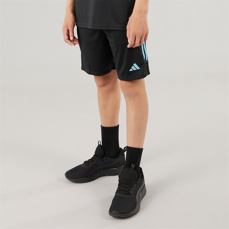 adidas Junior Tiro 23 Club Trainingshose Schwarz/Preloved Blau