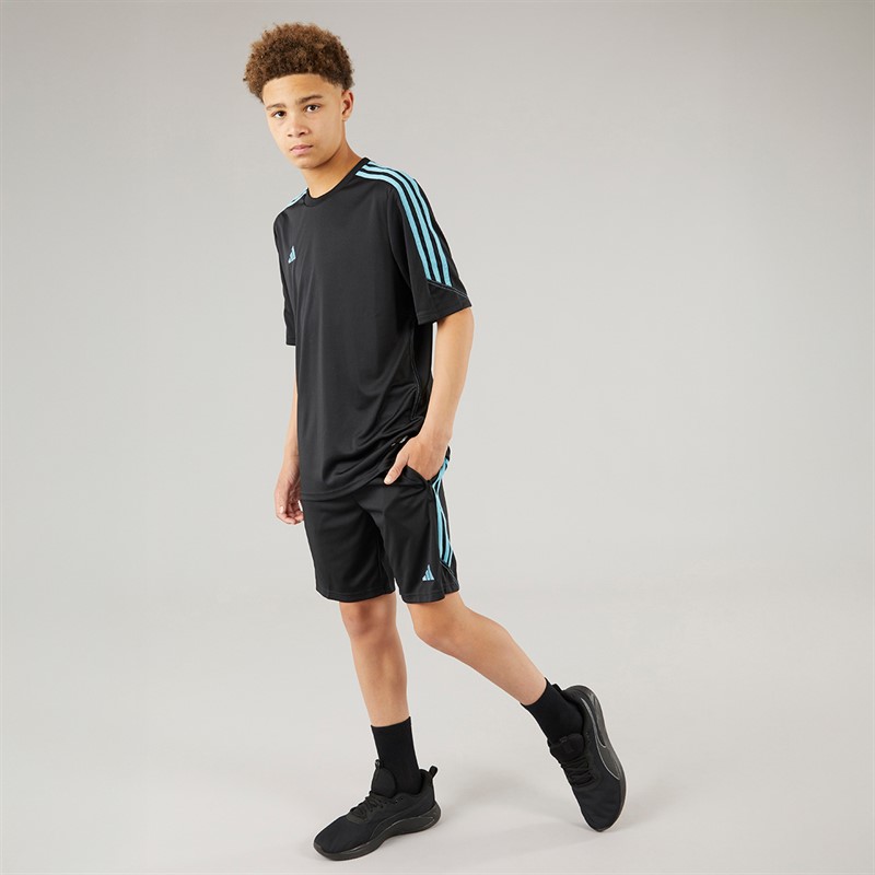 adidas Junior Tiro 23 Club Trainingshose Schwarz/Preloved Blau