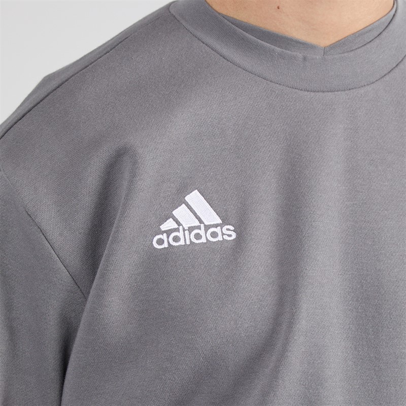 adidas Mens Entrada 22 Sweatshirt Team Grey Four