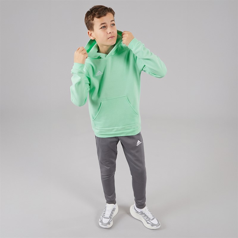adidas Kids Entrada 22 Pullover Hoodie Clear Mint