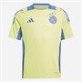 adidas Junior Boys AFC Ajax Training Jersey Pulse Yellow