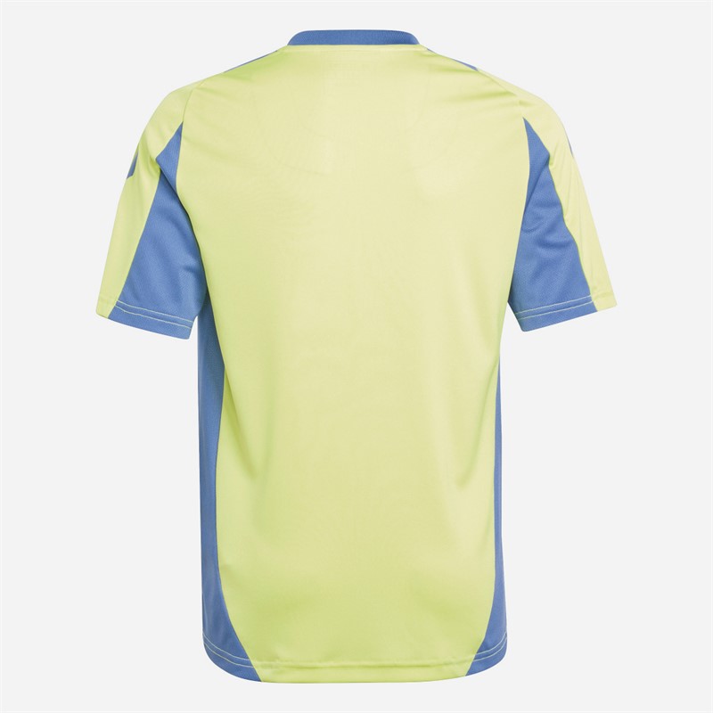 adidas Junior Boys AFC Ajax Training Jersey Pulse Yellow